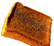 toast